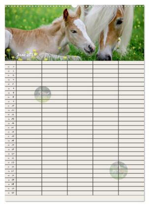 Haflinger Pferde - Stall- und Familienplaner 2026 (Wandkalender 2026 DIN A2 hoch), CALVENDO Monatskalender