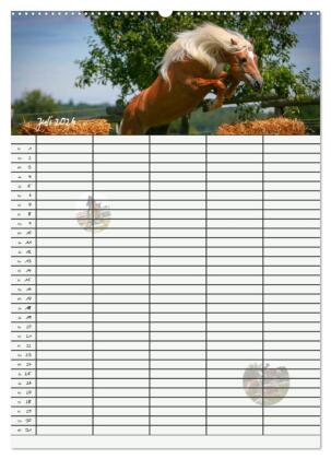 Haflinger Pferde - Stall- und Familienplaner 2026 (Wandkalender 2026 DIN A2 hoch), CALVENDO Monatskalender