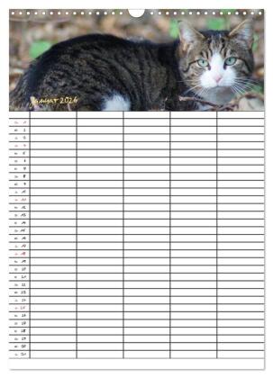 Bauernhoftiere Familienplaner (Wandkalender 2026 DIN A3 hoch), CALVENDO Monatskalender