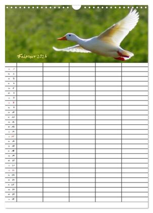 Bauernhoftiere Familienplaner (Wandkalender 2026 DIN A3 hoch), CALVENDO Monatskalender