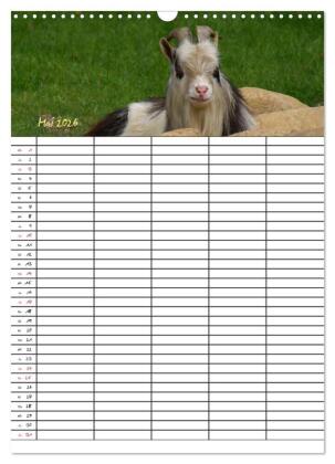 Bauernhoftiere Familienplaner (Wandkalender 2026 DIN A3 hoch), CALVENDO Monatskalender