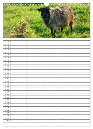Bauernhoftiere Familienplaner (Wandkalender 2026 DIN A3 hoch), CALVENDO Monatskalender