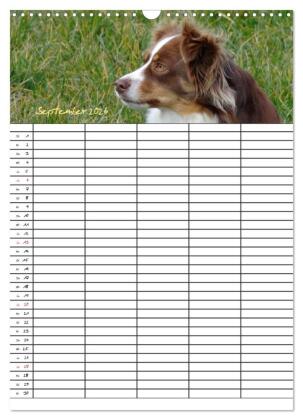 Bauernhoftiere Familienplaner (Wandkalender 2026 DIN A3 hoch), CALVENDO Monatskalender