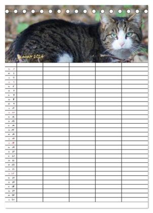 Bauernhoftiere Familienplaner (Tischkalender 2026 DIN A5 hoch), CALVENDO Monatskalender