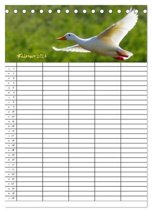 Bauernhoftiere Familienplaner (Tischkalender 2026 DIN A5 hoch), CALVENDO Monatskalender