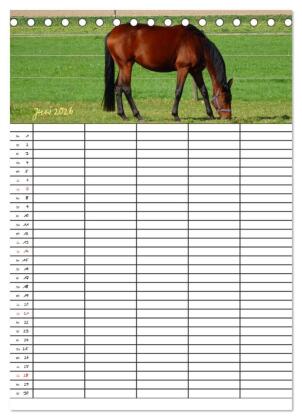 Bauernhoftiere Familienplaner (Tischkalender 2026 DIN A5 hoch), CALVENDO Monatskalender