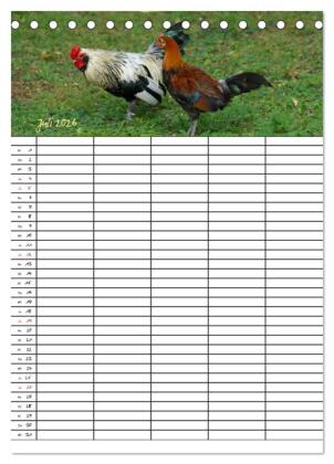 Bauernhoftiere Familienplaner (Tischkalender 2026 DIN A5 hoch), CALVENDO Monatskalender