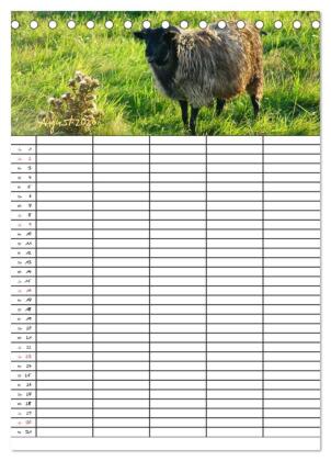 Bauernhoftiere Familienplaner (Tischkalender 2026 DIN A5 hoch), CALVENDO Monatskalender