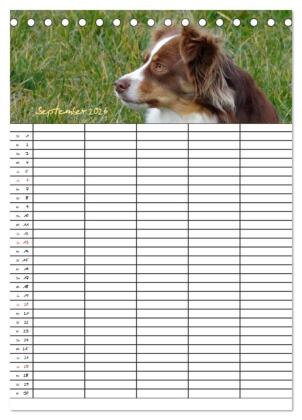 Bauernhoftiere Familienplaner (Tischkalender 2026 DIN A5 hoch), CALVENDO Monatskalender