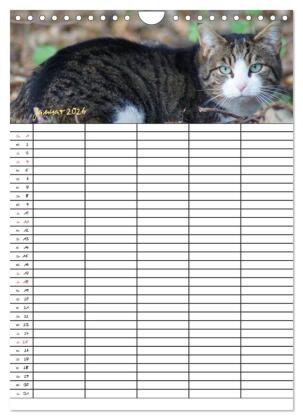 Bauernhoftiere Familienplaner (Wandkalender 2026 DIN A4 hoch), CALVENDO Monatskalender