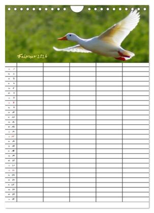 Bauernhoftiere Familienplaner (Wandkalender 2026 DIN A4 hoch), CALVENDO Monatskalender