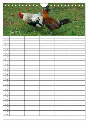 Bauernhoftiere Familienplaner (Wandkalender 2026 DIN A4 hoch), CALVENDO Monatskalender
