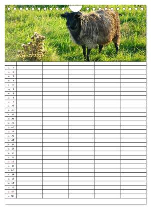 Bauernhoftiere Familienplaner (Wandkalender 2026 DIN A4 hoch), CALVENDO Monatskalender