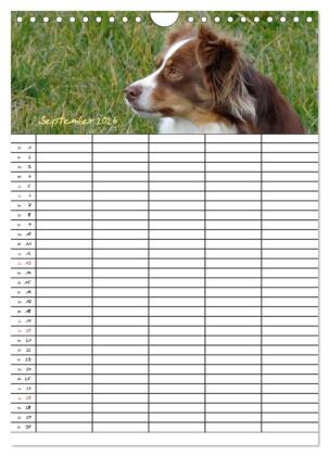 Bauernhoftiere Familienplaner (Wandkalender 2026 DIN A4 hoch), CALVENDO Monatskalender