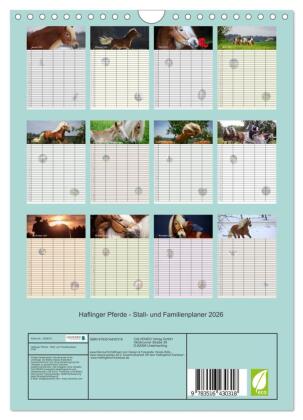 Haflinger Pferde - Stall- und Familienplaner 2026 (Wandkalender 2026 DIN A4 hoch), CALVENDO Monatskalender