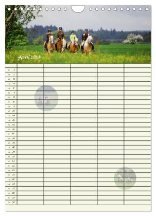 Haflinger Pferde - Stall- und Familienplaner 2026 (Wandkalender 2026 DIN A4 hoch), CALVENDO Monatskalender