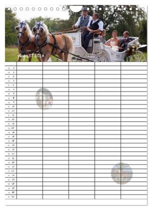 Haflinger Pferde - Stall- und Familienplaner 2026 (Wandkalender 2026 DIN A4 hoch), CALVENDO Monatskalender