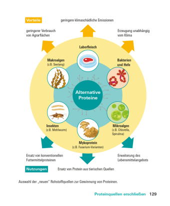Proteine und Aminosäuren