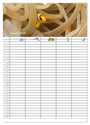 Der Unterwasser Familienplaner 2026 (Wandkalender 2026 DIN A2 hoch), CALVENDO Monatskalender