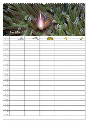 Der Unterwasser Familienplaner 2026 (Wandkalender 2026 DIN A2 hoch), CALVENDO Monatskalender