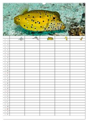 Der Unterwasser Familienplaner 2026 (Wandkalender 2026 DIN A2 hoch), CALVENDO Monatskalender