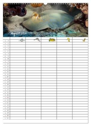Der Unterwasser Familienplaner 2026 (Wandkalender 2026 DIN A2 hoch), CALVENDO Monatskalender
