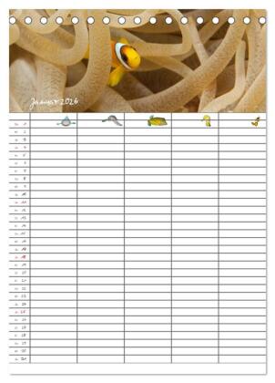 Der Unterwasser Familienplaner 2026 (Tischkalender 2026 DIN A5 hoch), CALVENDO Monatskalender