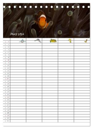 Der Unterwasser Familienplaner 2026 (Tischkalender 2026 DIN A5 hoch), CALVENDO Monatskalender