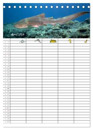 Der Unterwasser Familienplaner 2026 (Tischkalender 2026 DIN A5 hoch), CALVENDO Monatskalender