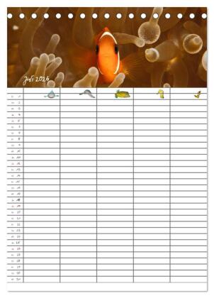 Der Unterwasser Familienplaner 2026 (Tischkalender 2026 DIN A5 hoch), CALVENDO Monatskalender