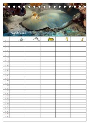 Der Unterwasser Familienplaner 2026 (Tischkalender 2026 DIN A5 hoch), CALVENDO Monatskalender