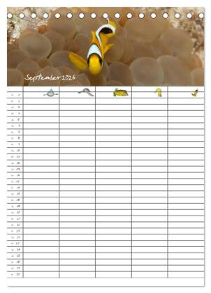 Der Unterwasser Familienplaner 2026 (Tischkalender 2026 DIN A5 hoch), CALVENDO Monatskalender