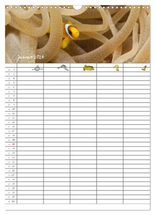 Der Unterwasser Familienplaner 2026 (Wandkalender 2026 DIN A3 hoch), CALVENDO Monatskalender
