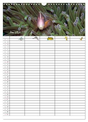 Der Unterwasser Familienplaner 2026 (Wandkalender 2026 DIN A3 hoch), CALVENDO Monatskalender