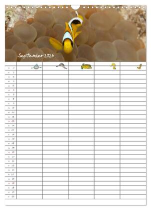 Der Unterwasser Familienplaner 2026 (Wandkalender 2026 DIN A3 hoch), CALVENDO Monatskalender