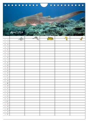 Der Unterwasser Familienplaner 2026 (Wandkalender 2026 DIN A4 hoch), CALVENDO Monatskalender