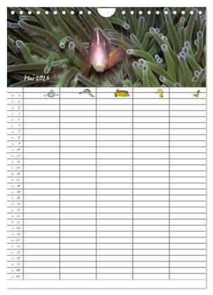 Der Unterwasser Familienplaner 2026 (Wandkalender 2026 DIN A4 hoch), CALVENDO Monatskalender