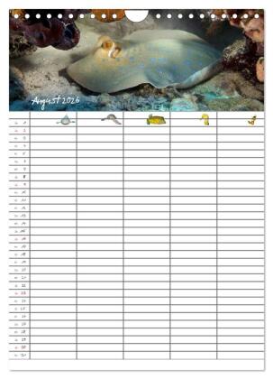 Der Unterwasser Familienplaner 2026 (Wandkalender 2026 DIN A4 hoch), CALVENDO Monatskalender