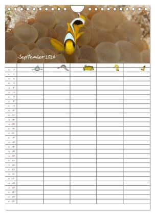 Der Unterwasser Familienplaner 2026 (Wandkalender 2026 DIN A4 hoch), CALVENDO Monatskalender