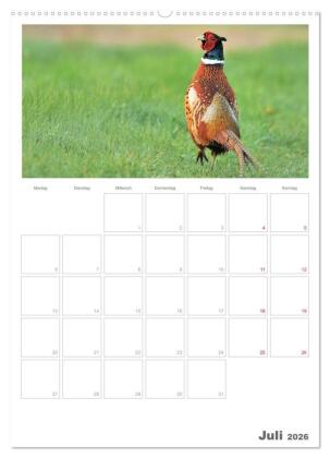 Rehe & Co / Planer (hochwertiger Premium Wandkalender 2026 DIN A2 hoch), Kunstdruck in Hochglanz