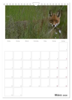Rehe & Co / Planer (Wandkalender 2026 DIN A4 hoch), CALVENDO Monatskalender