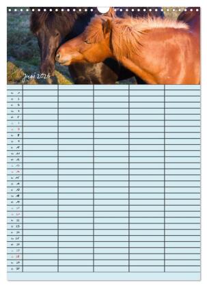 Island Familienplaner (Wandkalender 2026 DIN A3 hoch), CALVENDO Monatskalender