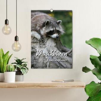 Waschbären Familienplaner (Wandkalender 2026 DIN A3 hoch), CALVENDO Monatskalender