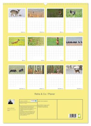 Rehe & Co / Planer (Wandkalender 2026 DIN A2 hoch), CALVENDO Monatskalender