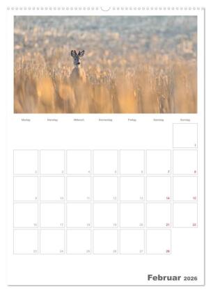 Rehe & Co / Planer (Wandkalender 2026 DIN A2 hoch), CALVENDO Monatskalender
