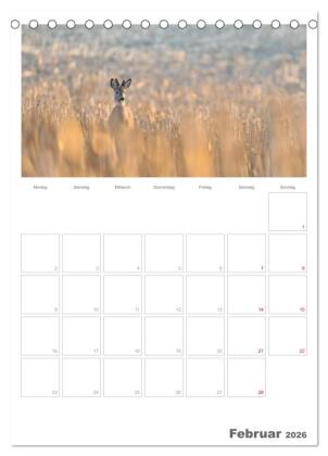Rehe & Co / Planer (Tischkalender 2026 DIN A5 hoch), CALVENDO Monatskalender