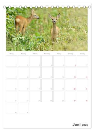 Rehe & Co / Planer (Tischkalender 2026 DIN A5 hoch), CALVENDO Monatskalender
