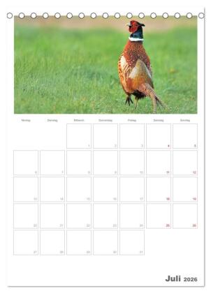 Rehe & Co / Planer (Tischkalender 2026 DIN A5 hoch), CALVENDO Monatskalender