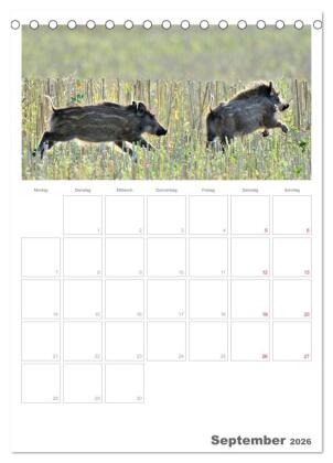 Rehe & Co / Planer (Tischkalender 2026 DIN A5 hoch), CALVENDO Monatskalender