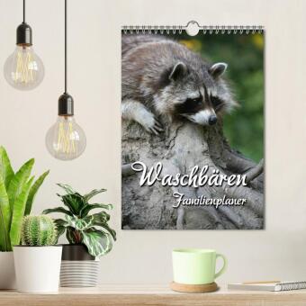 Waschbären Familienplaner (Wandkalender 2026 DIN A4 hoch), CALVENDO Monatskalender